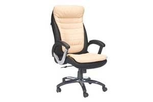 Manager Chairs Manufacturer in Gurgaon, Manager Chairs Supplier in Delhi, Noida - India