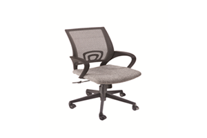 DS 301